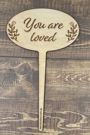 ‘You are loved’ planter stick