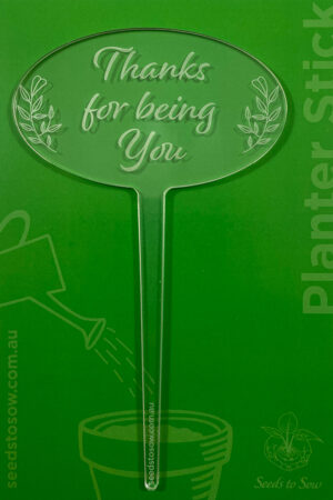 Planter Stick ‘Thanks for being you’ in clear acrylic