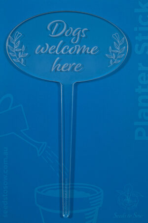 Planter Stick ‘Dogs Welcome Here’ in clear acrylic