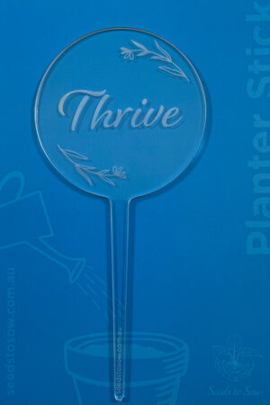 Planter Stick ‘Thrive’ in clear acrylic