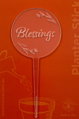 Planter Stick ‘Blessings’ in clear acrylic