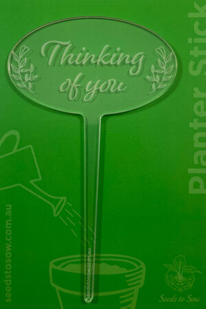 Planter Stick ‘Thinking of You’ in clear acrylic