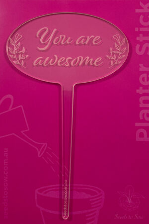 Planter Stick ‘You are awesome’ in clear acrylic
