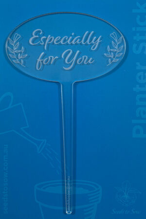Planter Stick ‘Especially for You’ in clear acrylic