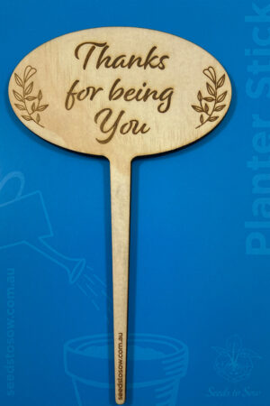 Planter Stick ‘Thanks for being you’ in plywood
