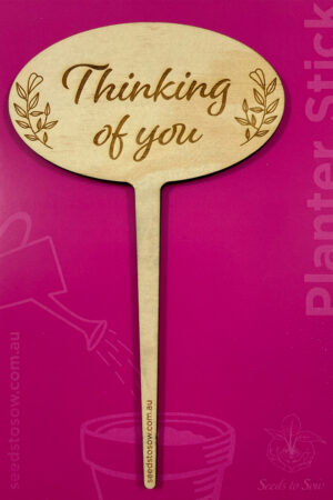 Planter Stick ‘Thinking of you’ in plywood