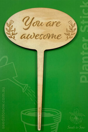 Planter Stick ‘You are awesome’ in plywood