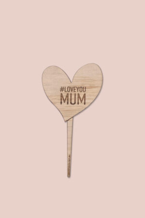 Customised Mother’s planter stick – Heart