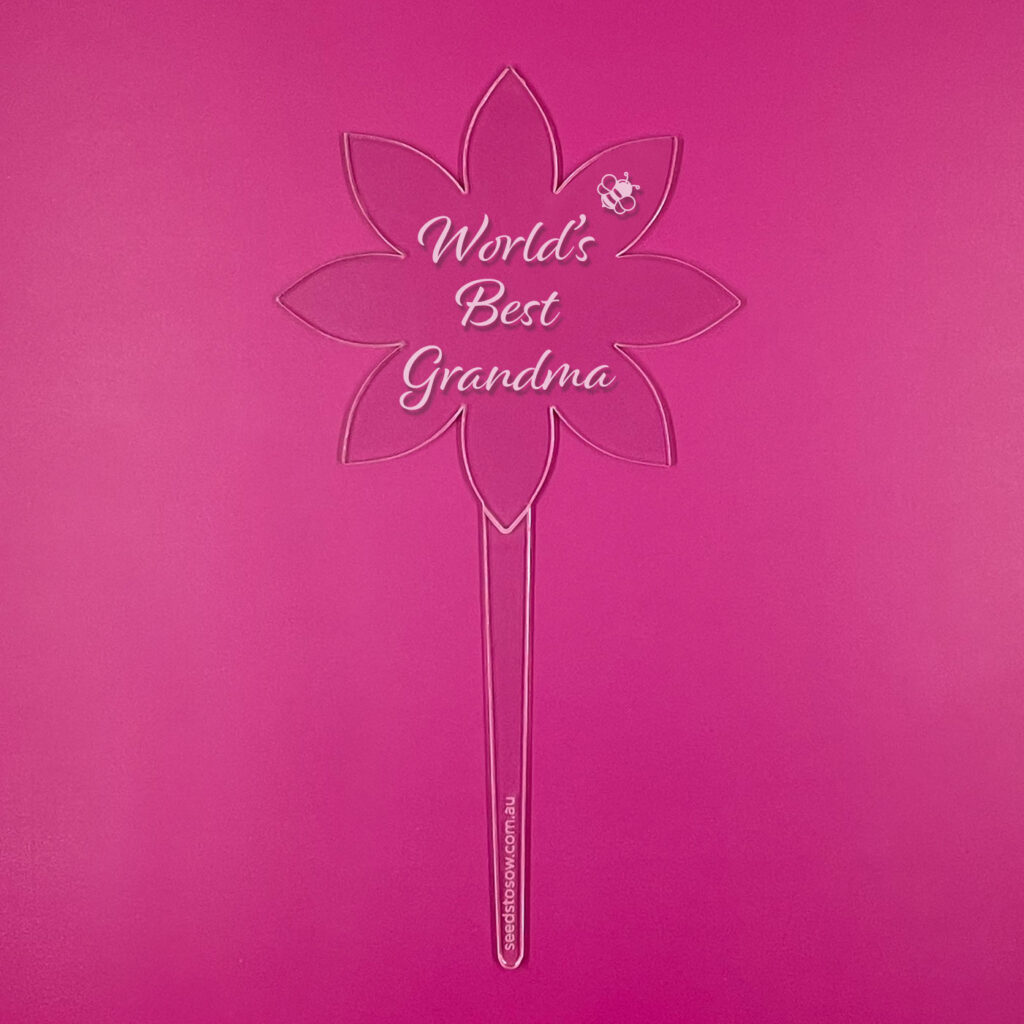 flower-3-acrylic-Worlds-Best-Grandma