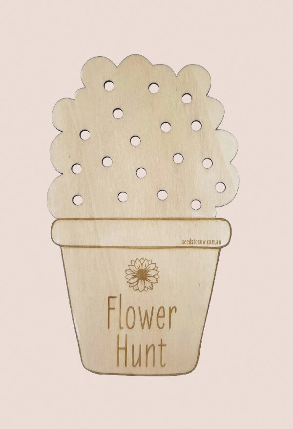 Image of Flower Hunt by Seeds to Sow